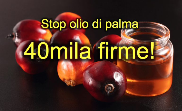 Prodotti all’olio di palma a rischio salute: Livorno in prima linea