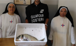 Controlli a tappeto su pesca, balneazione e natanti