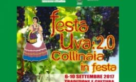 Festa dell'Uva di Collinaia 2.0