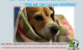 Raccolta coperte per cani e gatti. L'appello di SVS