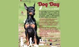 "Dog Day" a Porta a Mare