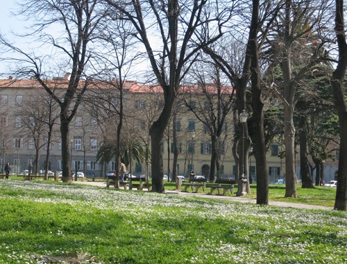 Coppia scippata in centro