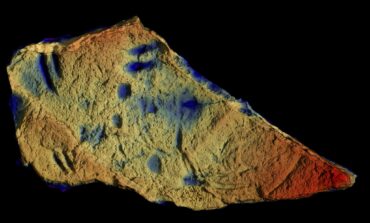 Fossili di Quercianella: un tassello mancante nella storia della vita sulla Terra