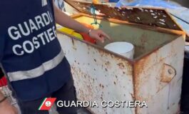 Venditori abusivi di pesce in Darsena Vecchia, multe per 13mila euro