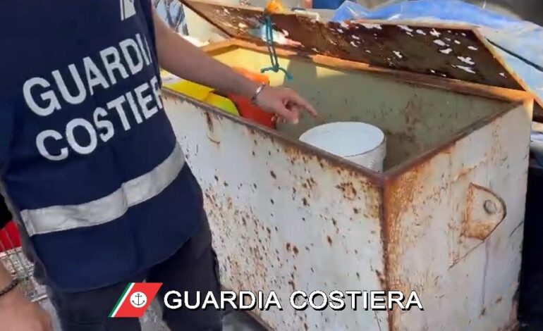 Venditori abusivi di pesce in Darsena Vecchia, multe per 13mila euro