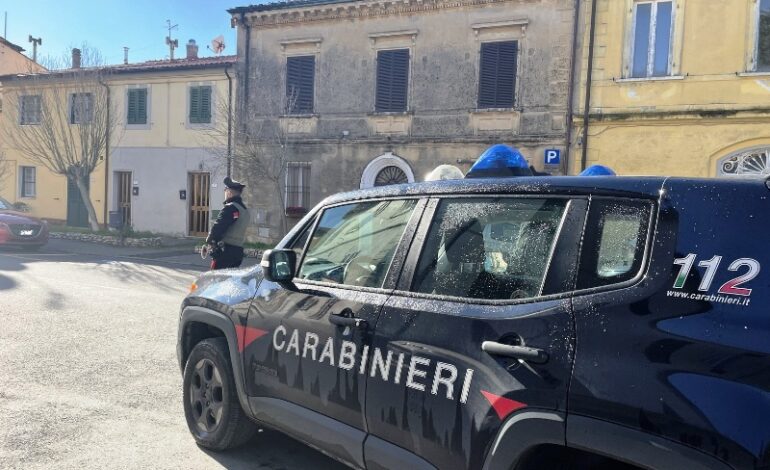 Livorno, furgoni rubati e portati in Polonia. Sei gli arresti