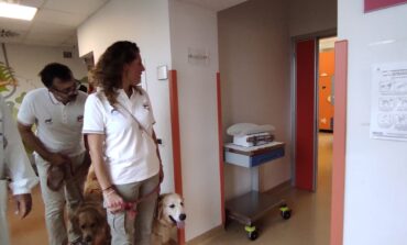 Ospedale, in pediatria al via il progetto che porta i cani bagnini in corsia