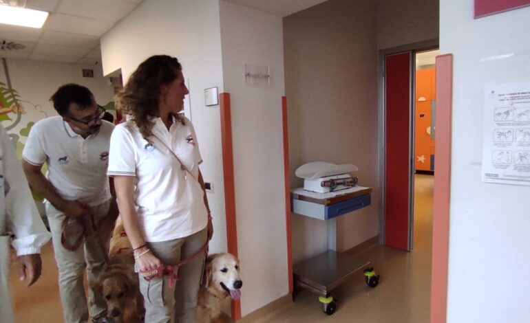 Ospedale, in pediatria al via il progetto che porta i cani bagnini in corsia