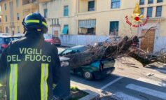 Maltempo in tutta la Toscana: forte vento e disagi