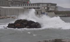 Vento forte in Toscana. Alberi caduti, chiuso il porto di Livorno