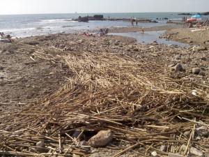 Al via la giornata di raccolta dei rifiuti da spiagge e fondali