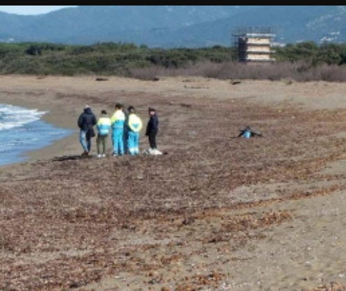 Identificato il cadavere rinvenuto sulla spiaggia di San Vincenzo