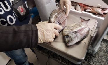 Operazione ‘Pesce d’Aprile’: 500kg di prodotti ittici sequestrati e maxi sanzioni