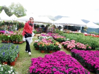 Piazza XX Settembre si copre di fiori