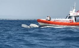 Paura in alto mare: catamarano si rovescia