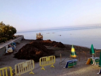 Al via la seconda fase della rimozione della posidonia dalle spiagge cittadine