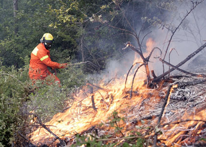 Incendi, posticipato al 15 settembre il divieto di accendere fuochi