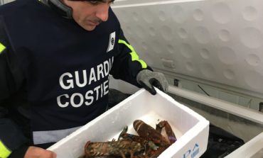 Operazione 'Dirty Market': 2,7 tonnellate di pesce sequestrato