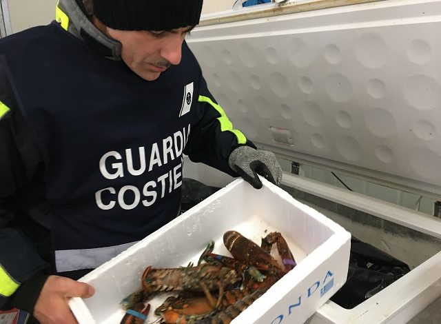 Operazione ‘Dirty Market’: 2,7 tonnellate di pesce sequestrato