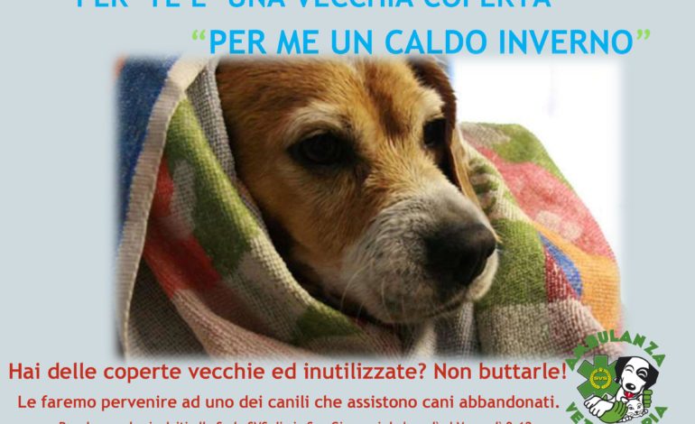 Raccolta coperte per cani e gatti. L’appello di SVS