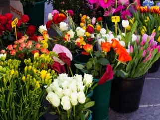 Mercato straordinario in via dei Pensieri