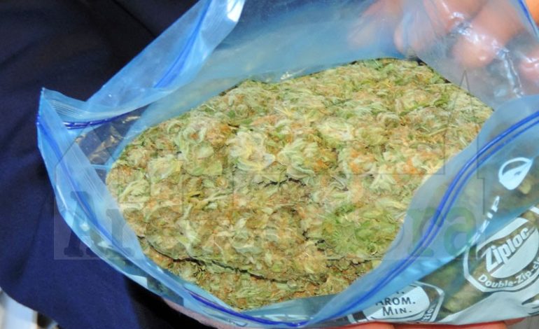 Oltre 7 kg di marijuana sequestrata: 5 arresti