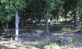 Si perdono nel bosco. Paura per due 18enni