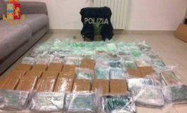 Cocaina tra gli ananas. Sgominato traffico internazionale