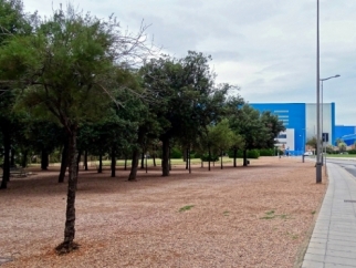 Una passerella e una nuova passeggiata, così rinasce la Bellana