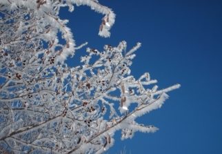 Emergenza freddo: ecco il piano