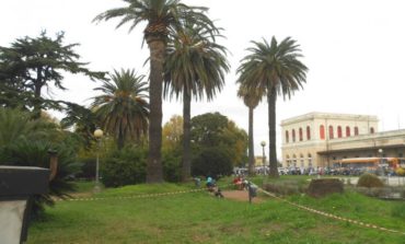 Emergenza topi in piazza Dante, presidio di Comune e Aamps