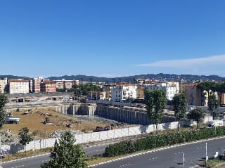 Lipu: “Danno ambientale l’abbattimento di alberi e siepi in viale Petrarca”