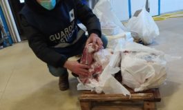 Sequestrate 3 tonnellate di prodotti ittici