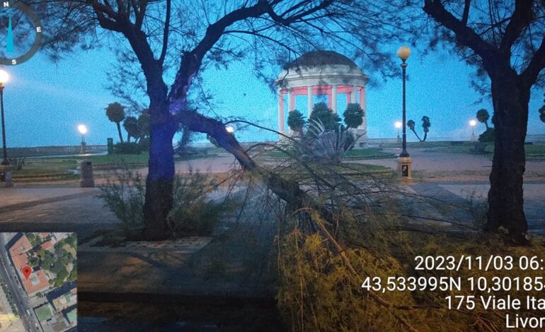 Maltempo. Chiuso il viale Italia, alberi caduti in varie zone