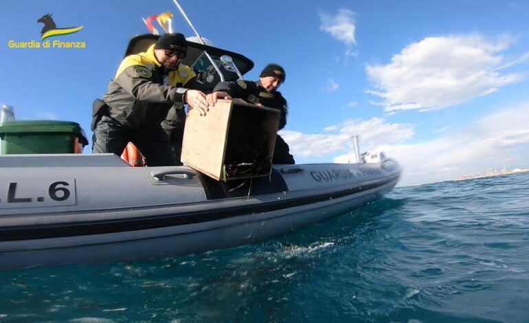 Sequestrati oltre 1.800 ricci di mare durante una battuta di pesca subacquea