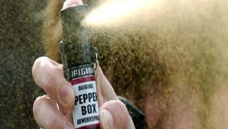 Spruzzano spray al peperoncino sul bus, denunciati due minorenni