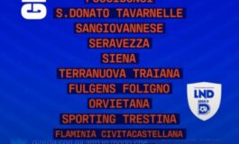 Ecco le avversarie di serie D del Livorno, amaranto nel girone E con Toscane, Umbre, Laziali e Liguri!