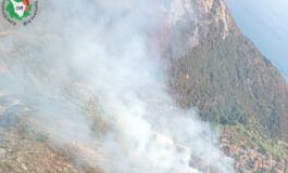 Elba, bosco in fiamme a Pomonte, case a rischio ed elicotteri in volo